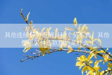 其他连续劳务报酬计税（劳务费、其他费用欠付还款指的是什么）