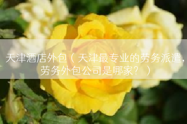 天津酒店外包（天津最专业的劳务派遣，劳务外包公司是哪家？）