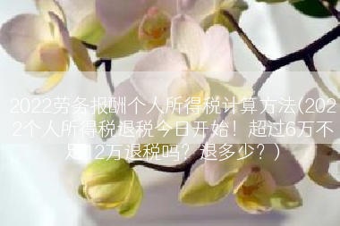 2022劳务报酬个人所得税计算方法(2022个人所得税退税今日开始！超过6万不足12万退税吗？退多少？)