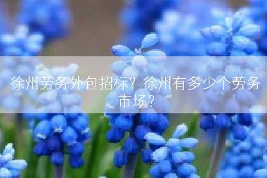 徐州劳务外包招标？徐州有多少个劳务市场？