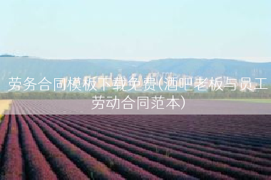 劳务合同模板下载免费(酒吧老板与员工劳动合同范本)