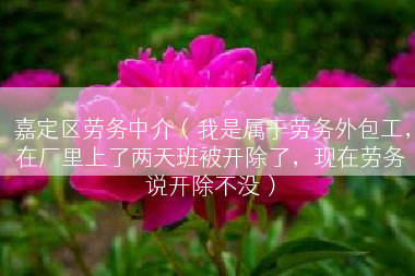 嘉定区劳务中介（我是属于劳务外包工，在厂里上了两天班被开除了，现在劳务说开除不没）