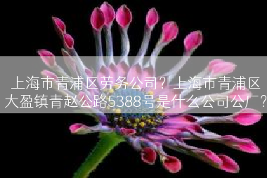 上海市青浦区劳务公司？上海市青浦区大盈镇青赵公路5388号是什么公司公厂？