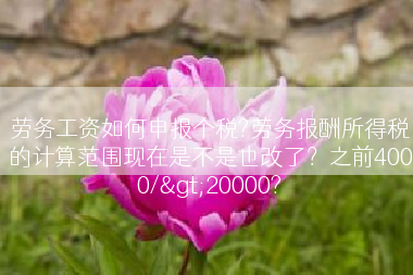 劳务工资如何申报个税?劳务报酬所得税的计算范围现在是不是也改了？之前4000/>20000?