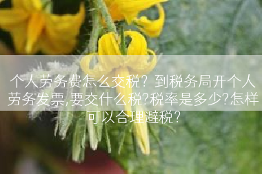 个人劳务费怎么交税？到税务局开个人劳务发票,要交什么税?税率是多少?怎样可以合理避税？