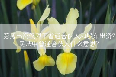 劳务出资仅限于普通合伙人和股东出资?民法中普通合伙人什么意思?