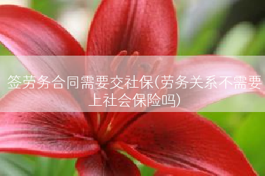 签劳务合同需要交社保(劳务关系不需要上社会保险吗)