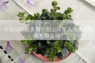 中国国际劳务网？眉山环宇人力资源服务有限公司？