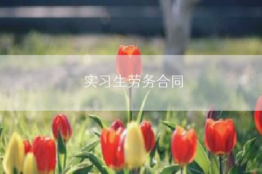 实习生劳务合同