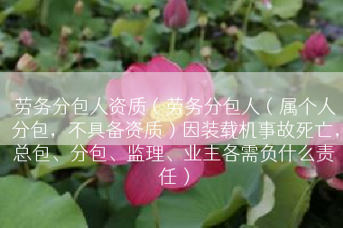 劳务分包人资质（劳务分包人（属个人分包，不具备资质）因装载机事故死亡，总包、分包、监理、业主各需负什么责任）
