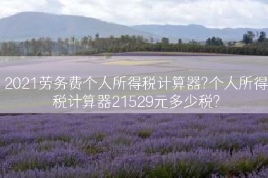 2021劳务费个人所得税计算器?个人所得税计算器21529元多少税?