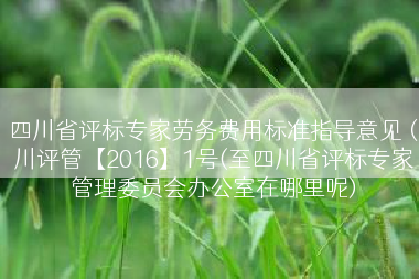 四川省评标专家劳务费用标准指导意见（川评管【2016】1号(至四川省评标专家管理委员会办公室在哪里呢)