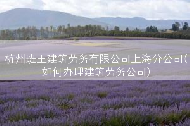 杭州班王建筑劳务有限公司上海分公司(如何办理建筑劳务公司)