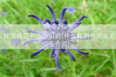 民法典劳务合同纠纷(什么样的合同是劳务合同)