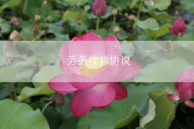 劳务挂靠协议