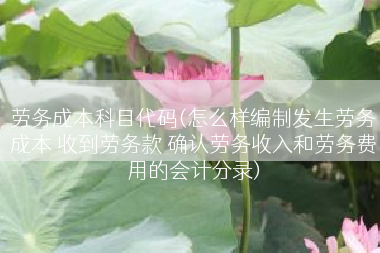 劳务成本科目代码(怎么样编制发生劳务成本 收到劳务款 确认劳务收入和劳务费用的会计分录)