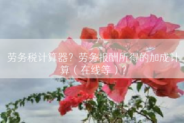 劳务税计算器？劳务报酬所得的加成计算（在线等）？