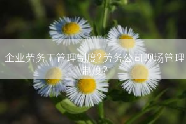 企业劳务工管理制度?劳务公司现场管理制度?