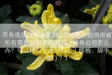 劳务资质改为备案制(2016年开始河南省所有劳务公司资质取消，劳务公司怎么办？可以转为专业分包么（模板、脚手架）？)