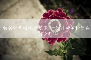 劳务外包税率是多少(一般开劳务税是百分之几)