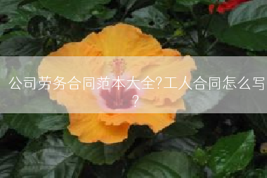 公司劳务合同范本大全?工人合同怎么写?