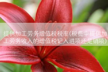 提供加工劳务增值税税率(税费中提供加工劳务收入的增值税记入进项还是销项)