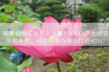 劳务报酬退税怎么计算?为出口产生的劳务服务费，可以用来办理出口退税吗?