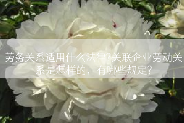 劳务关系适用什么法律?关联企业劳动关系是怎样的，有哪些规定?