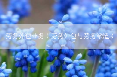 劳务外包业务（劳务外包与劳务派遣）