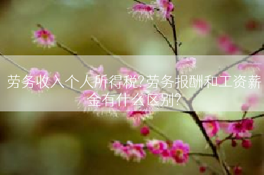 劳务收入个人所得税?劳务报酬和工资薪金有什么区别?