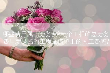 哪些费用属于劳务费?一个工程的总劳务费用就是指的工程量清单上的人工费吗?
