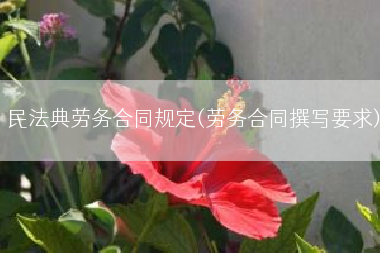 民法典劳务合同规定(劳务合同撰写要求)