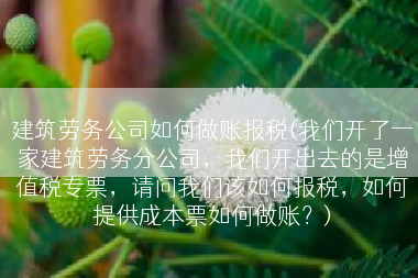 建筑劳务公司如何做账报税(我们开了一家建筑劳务分公司，我们开出去的是增值税专票，请问我们该如何报税，如何提供成本票如何做账？)