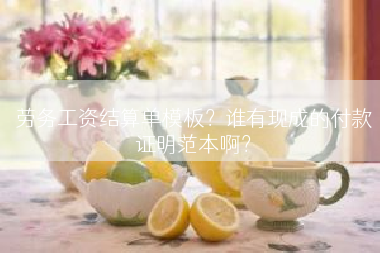 劳务工资结算单模板？谁有现成的付款证明范本啊？
