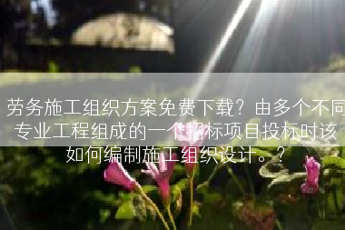劳务施工组织方案免费下载？由多个不同专业工程组成的一个招标项目投标时该如何编制施工组织设计。？