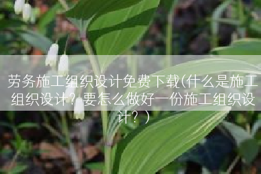 劳务施工组织设计免费下载(什么是施工组织设计？要怎么做好一份施工组织设计？)