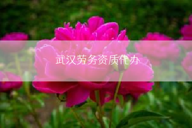 武汉劳务资质代办
