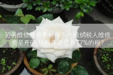 劳务维修服务费税率？一般纳税人维修费是开6%的税率还是开17%的税？