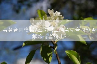 劳务合同模板?工伤职工的劳动合同能否解除或者终止?