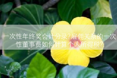 一次性年终奖会计分录?雇佣关系的一次性董事费如何计算个人所得税?