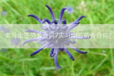 实习生签劳务合同?实习期签劳务合同?