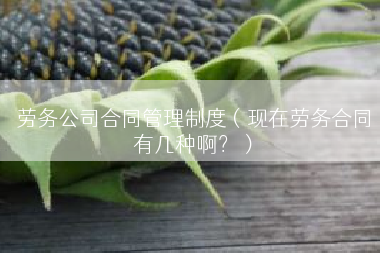 劳务公司合同管理制度（现在劳务合同有几种啊？）