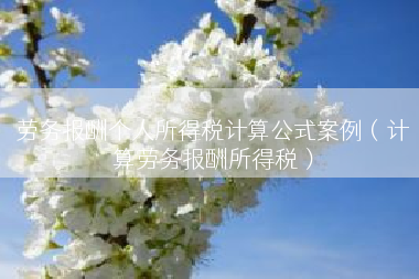 劳务报酬个人所得税计算公式案例（计算劳务报酬所得税）