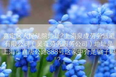嘉定区人民法院地址?上海泉成劳务派遣有限公司（吴奇劳务服务公司）地址是上海市嘉唐公路888号这家中介是骗子吗?