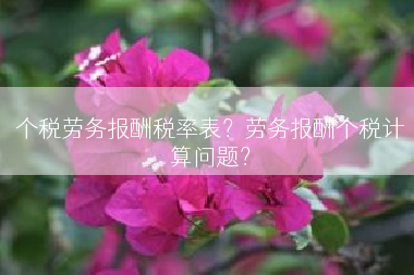 个税劳务报酬税率表？劳务报酬个税计算问题？