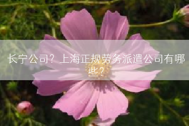 长宁公司？上海正规劳务派遣公司有哪些？