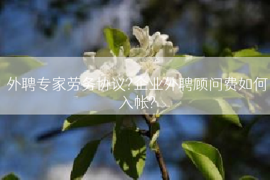 外聘专家劳务协议?企业外聘顾问费如何入帐?