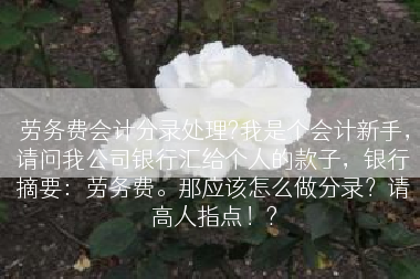 劳务费会计分录处理?我是个会计新手，请问我公司银行汇给个人的款子，银行摘要：劳务费。那应该怎么做分录？请高人指点！?
