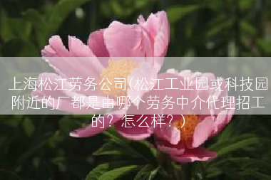 上海松江劳务公司(松江工业园或科技园附近的厂都是由哪个劳务中介代理招工的？怎么样？)