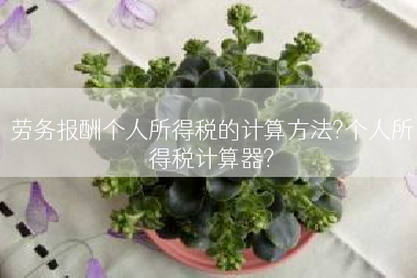 劳务报酬个人所得税的计算方法?个人所得税计算器?